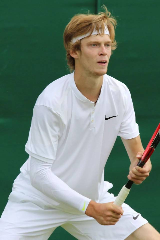 这一多元化 这一多元化